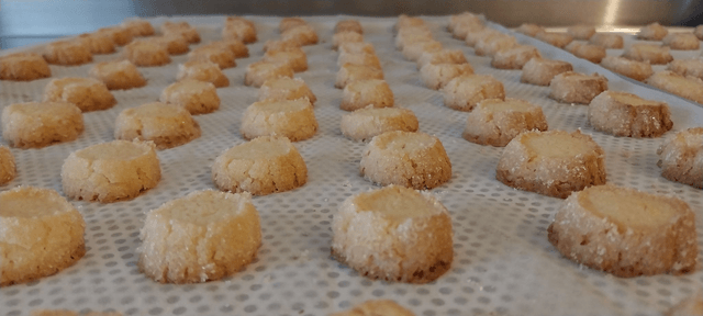 Biscuit Diamant x12